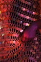 stagefoto_com__4326