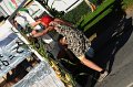 stagefoto_com1624